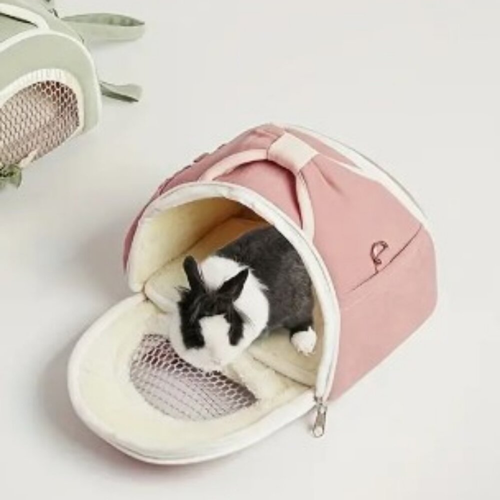Adorable Pink Extra Small Pet Travel Carrier